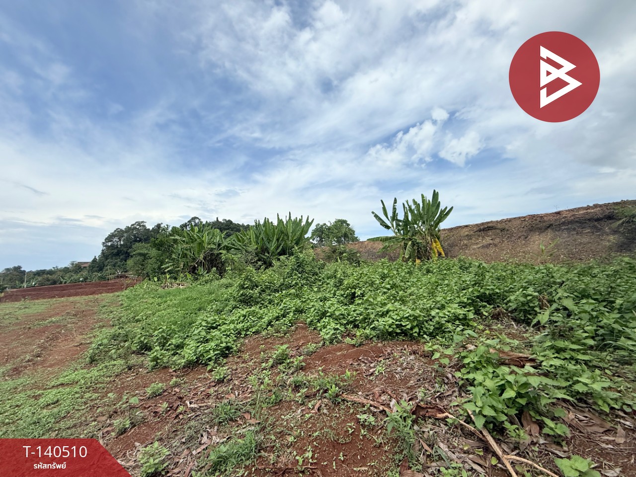 Land for sale, area 1 rai 1 ngan 79 sq m, Tha Mai, Chanthaburi.