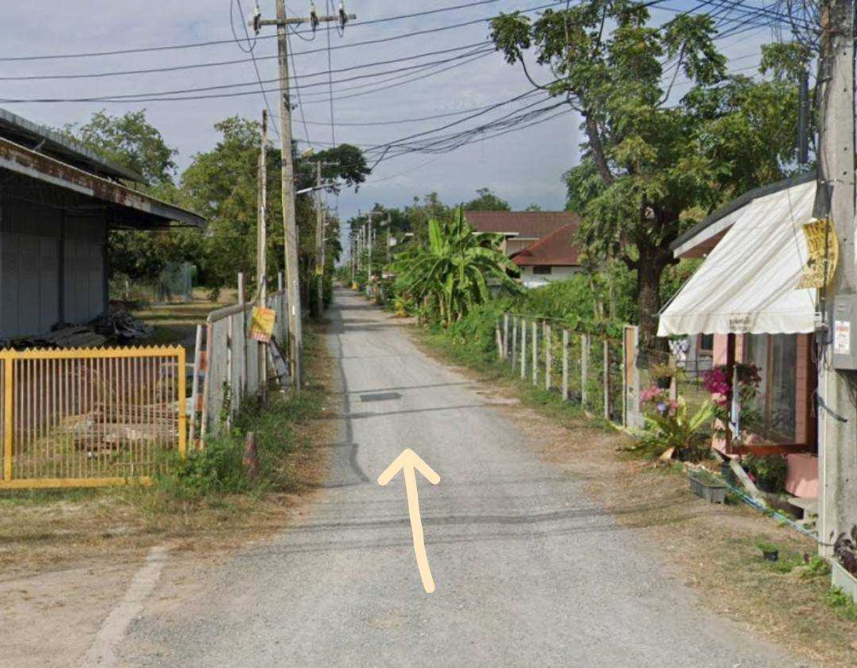 ขายที่ดิน คลอง 11 ธัญบุรี 200 ตร.ว. ผังเมืองสีชมพู ใกล้ ถนนรังสิต-นครนายก – รูปที่ 3