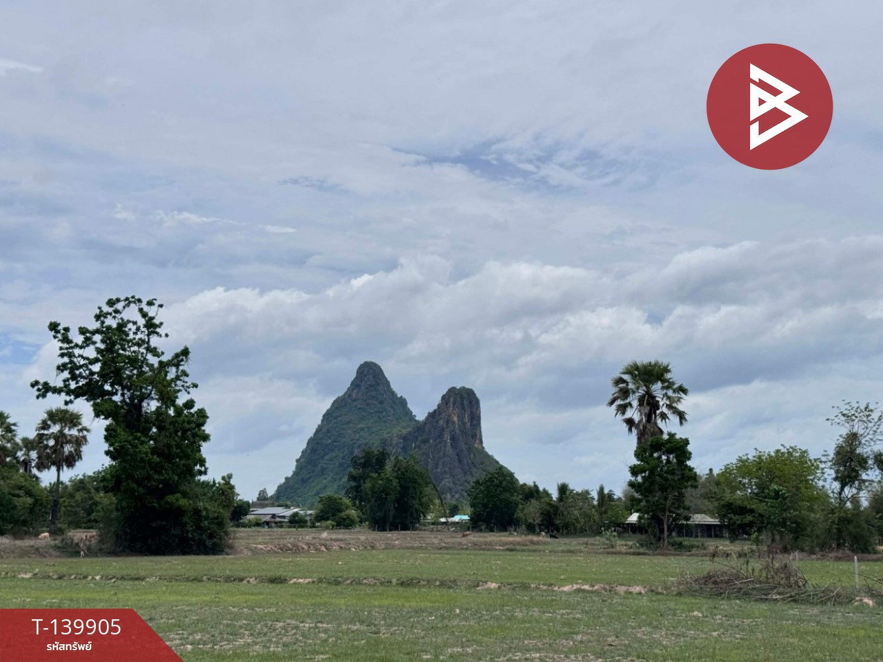 ขายที่ดิน เนื้อที่ 13 ไร่ เขาย้อย เพชรบุรี – รูปที่ 2
