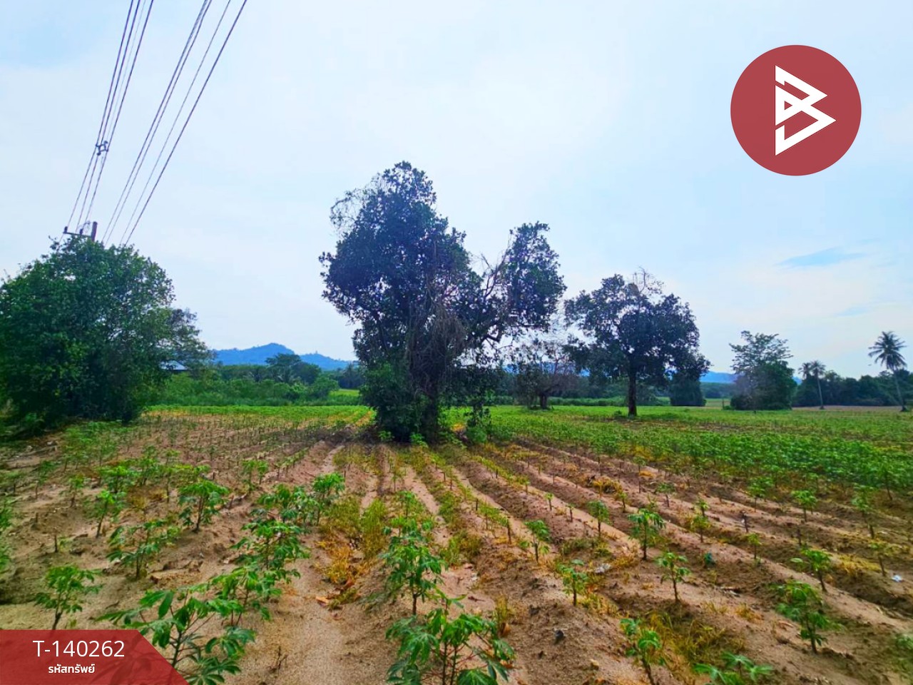 ขายที่ดิน เนื้อที่ 38 ไร่ 1 งาน 36 ตร.วา ศรีราชา ชลบุรี – รูปที่ 3