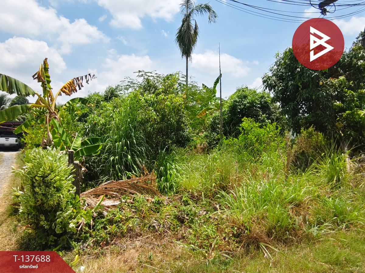 Land for sale, area 80 sq m, Ban Khai, Rayong. – รูปที่ 3