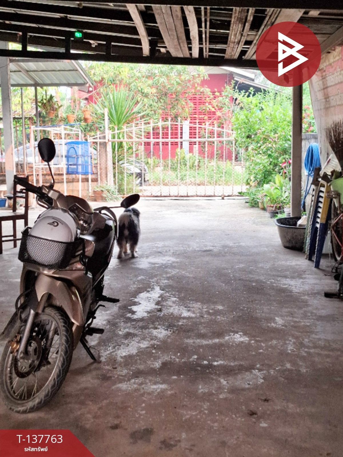 ขายบ้านเดี่ยวพร้อมที่ดิน เนื้อที่ 66 ตารางวา เทิง เชียงราย – รูปที่ 4