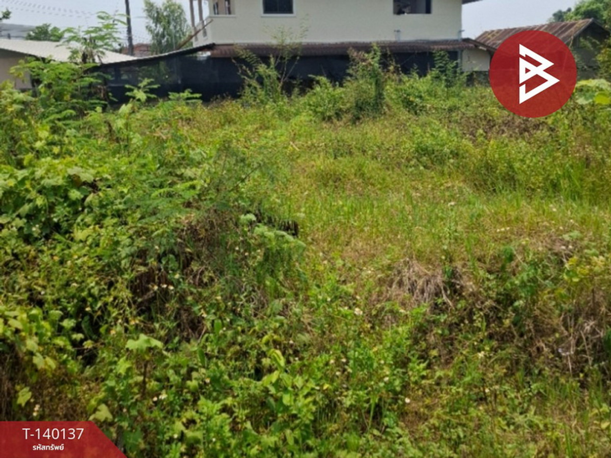 ขายที่ดิน เนื้อที่ 3 งาน 3 ตร.วา แม่กรณ์ เชียงราย – รูปที่ 3