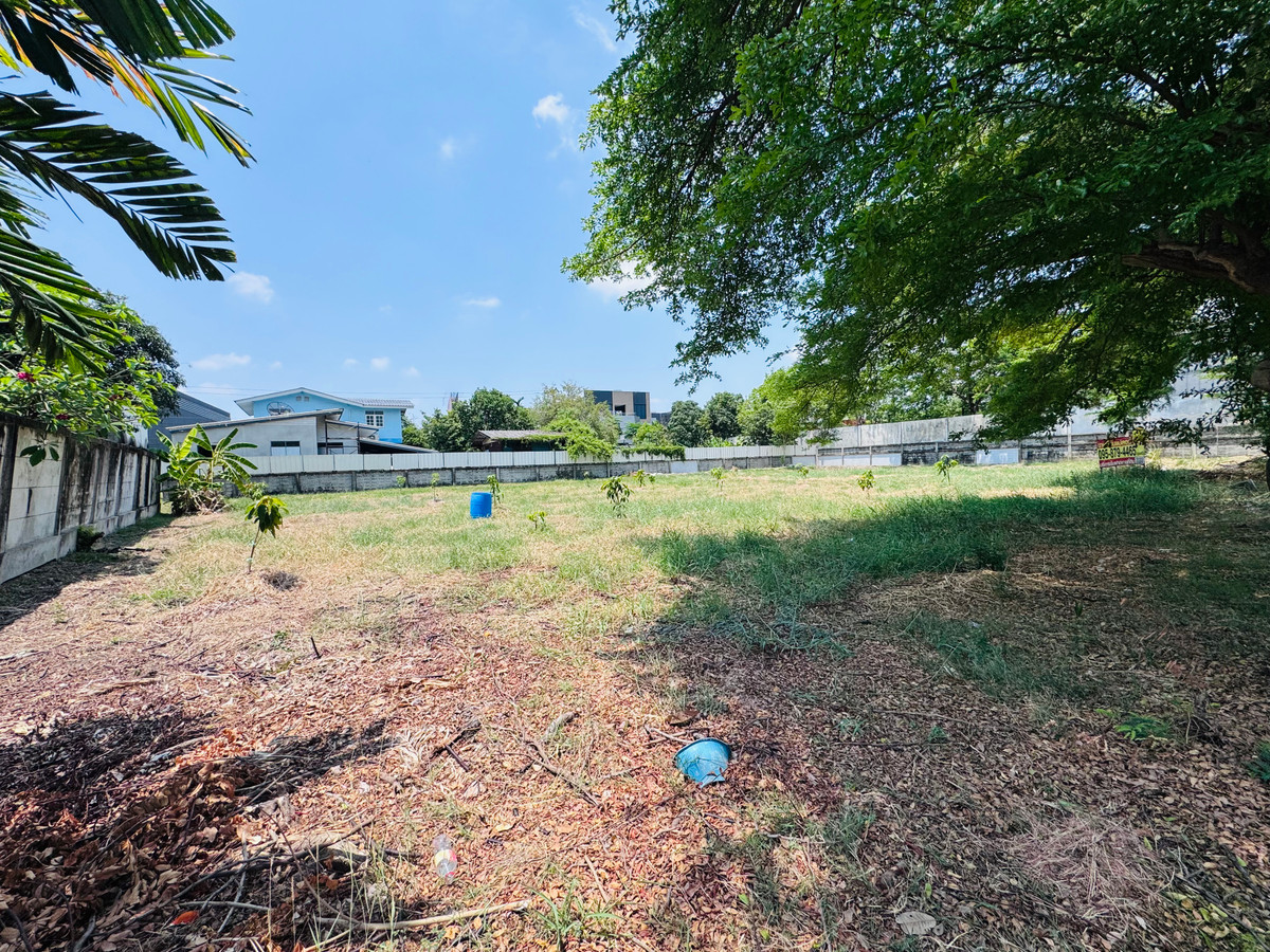 ราคาดีที่สุด ที่ดินแปลงสวย ในโครงการ วินด์มิลล์ พาร์ค (Windmill Park) บางนา – รูปที่ 3