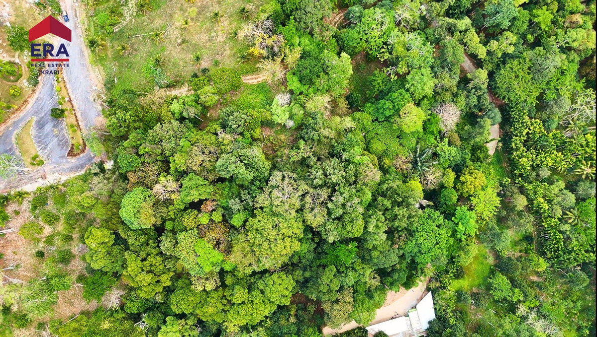 Sea View Land – Prime Location Krabi, กระบี่ – รูปที่ 4
