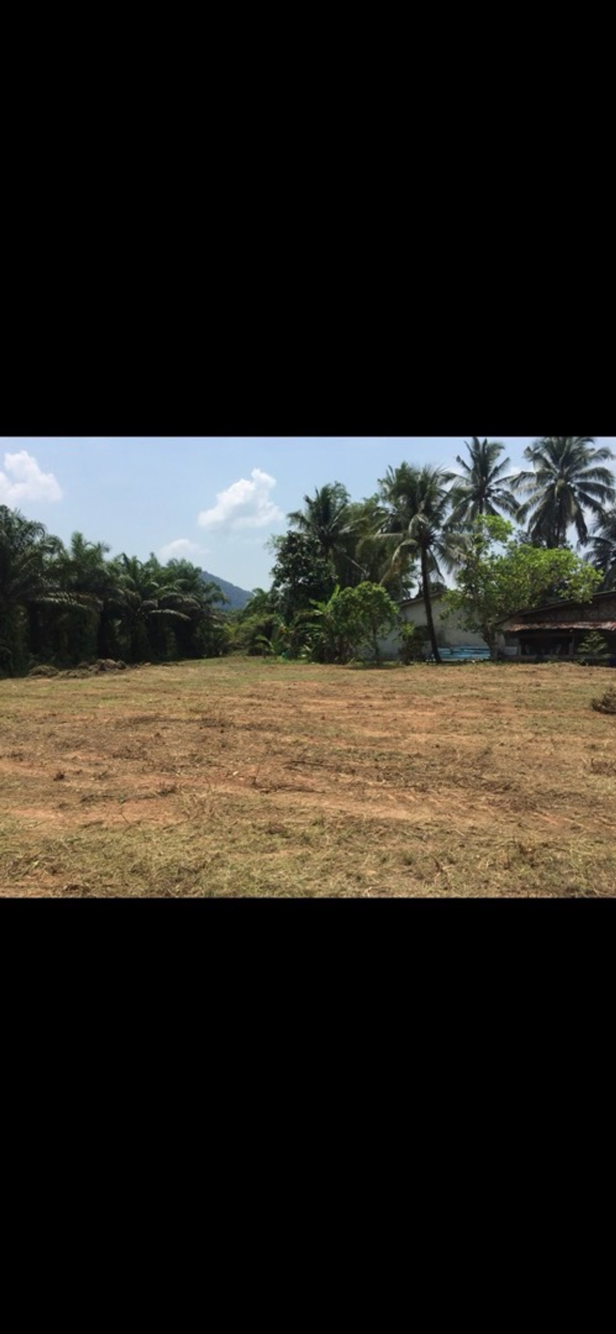 land sale tropical moutain view – รูปที่ 3