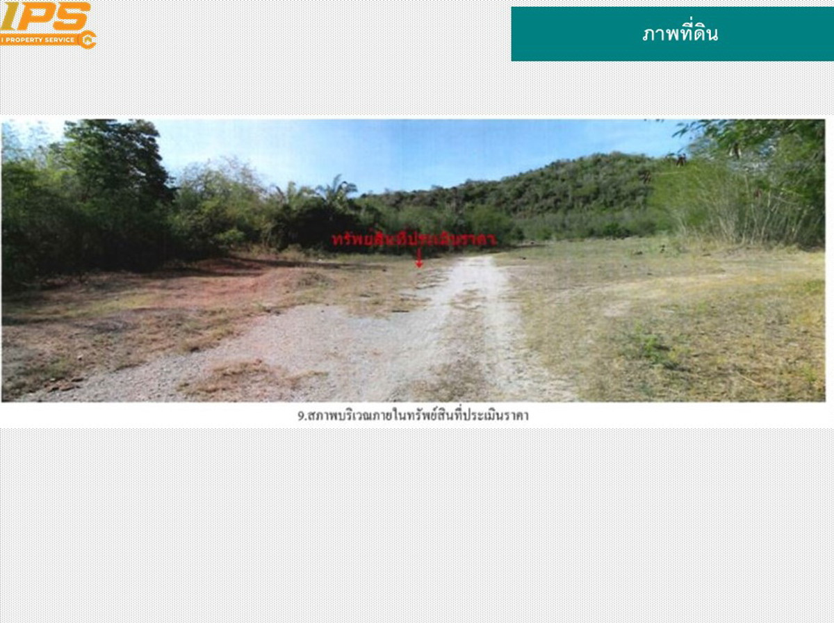 ขายที่ดิน 50-0-80 ไร่ ต.พงศ์ประศาสน์ อ.บางสะพาน จ.ประจวบคีรีขันธ์ – รูปที่ 4