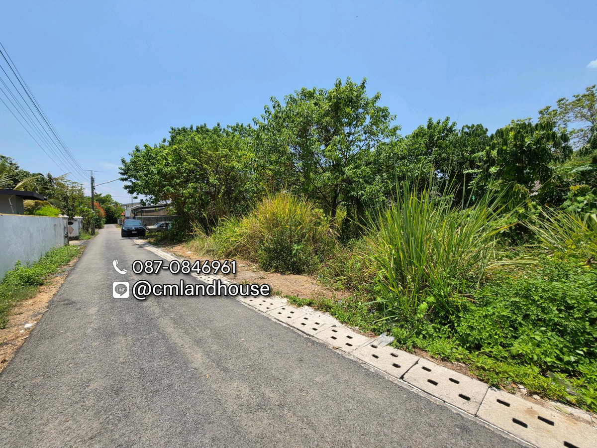 ที่ดินติดถนนสัญจร 203 ตรว. แปลงมุมติดถนน 2 ด้าน ค้าขาย ทำธุรกิจได้
ใกล้ถนนวงแหวน 800ม. ซุปเปอร์ไฮเวย์ 1กม. ใกล้เทศบาลไชยสถาน อ.สารภี ใกล้ไทวัสดุ – รูปที่ 4