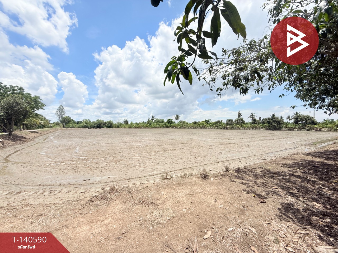Land for sale, area 3 rai 3 ngan 24 sq m, Nakhon Chai Si, Nakhon Pathom. – รูปที่ 4