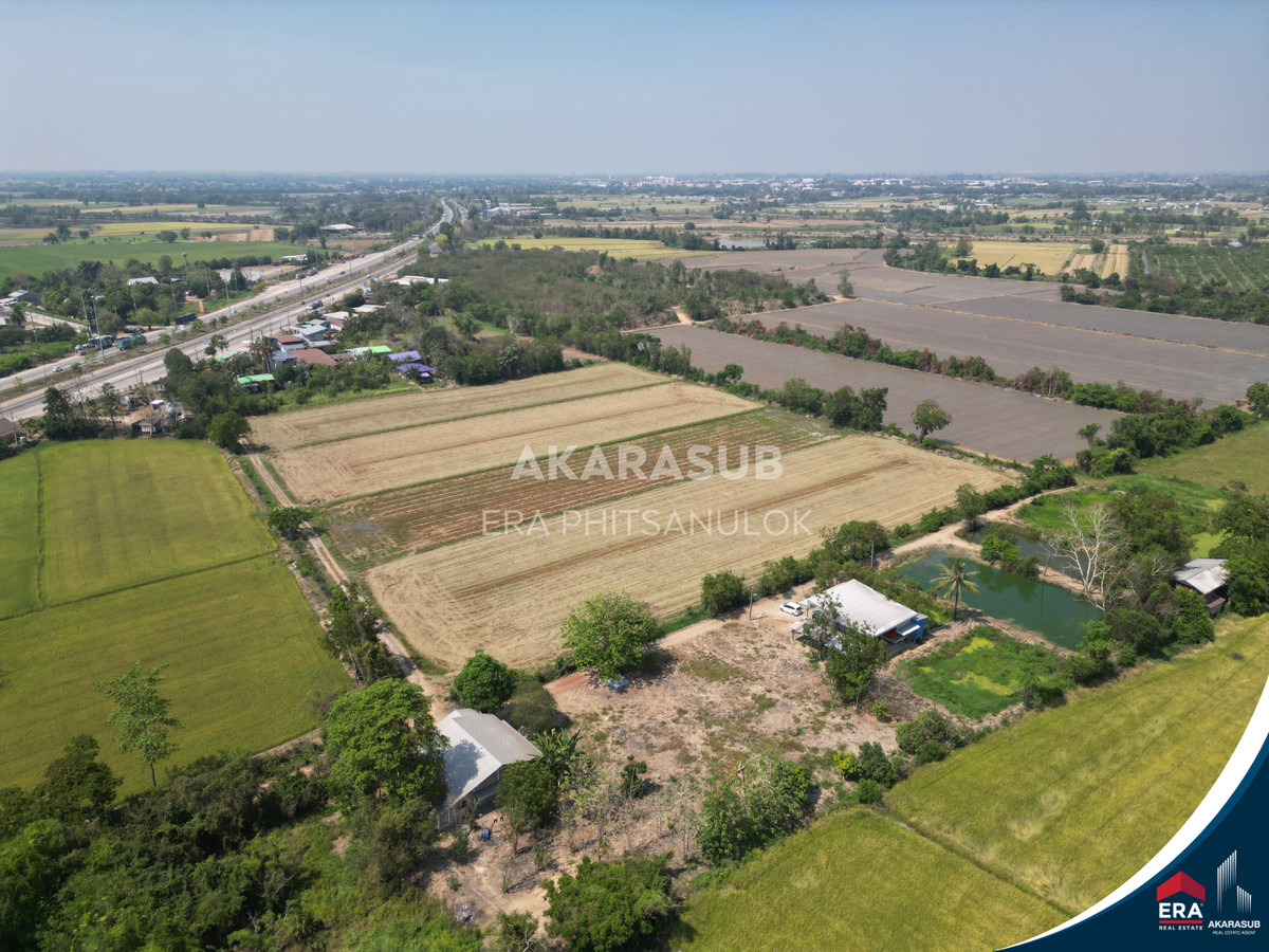 ขายที่ดินสวย ใกล้ม.นเรศวร ใกล้ถนนสาย117 200เมตร – รูปที่ 4