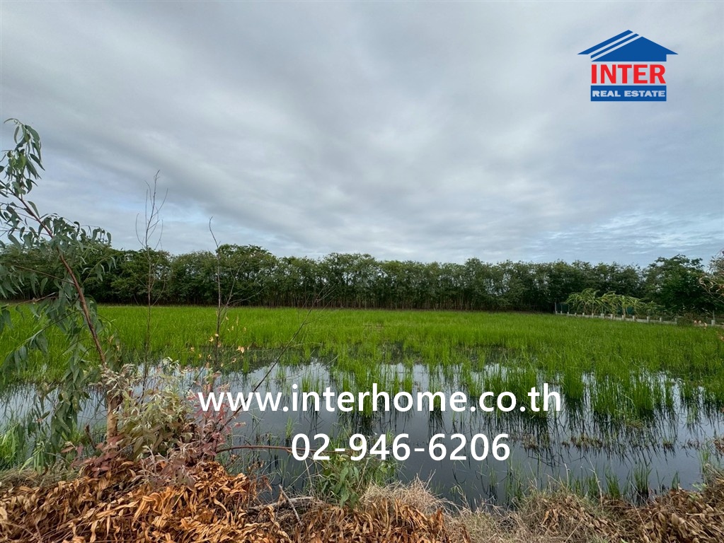 ที่ดินเปล่า 113.5 ตร.ว. ที่ดินเปล่า ซอยศรีกมล ถนนพุทธมณฑลสาย4 ถนนสหพร เมืองนครปฐม นครปฐม – รูปที่ 4