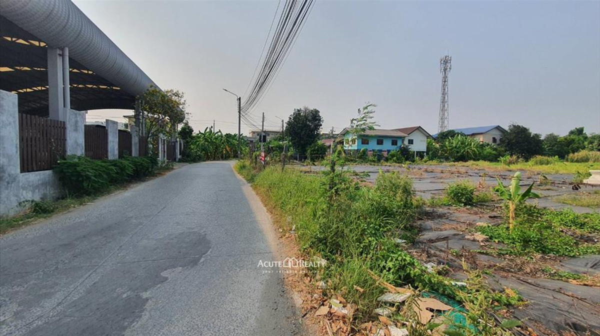 ขายที่ดิน 2-1-90 ไร่ ถมแล้ว ฝั่งตรงข้ามเดอะ คริสตัล เอสบี ราชพฤกษ์ – รูปที่ 4