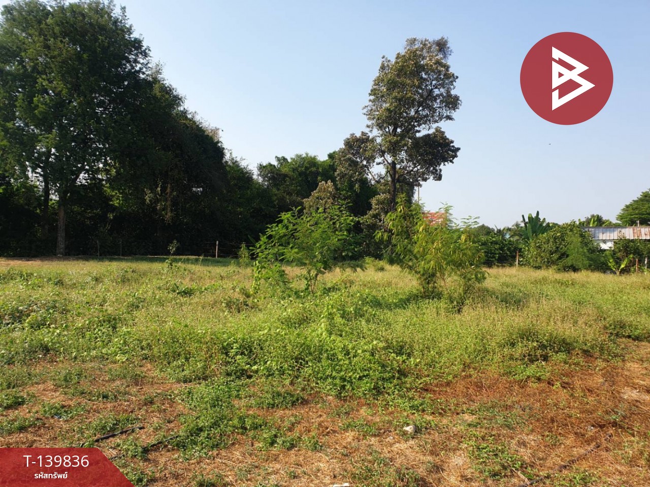 ปล่อยเช่า ที่ดิน เนื้อที่ 3 งาน 88 ตร.วา บางกรวย นนทบุรี – รูปที่ 4