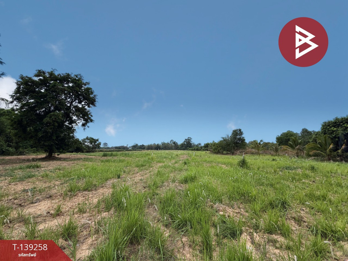 Land for sale, area 20 rai 1 ngan 31 sq m, Si Maha Phot, Prachinburi. – รูปที่ 2