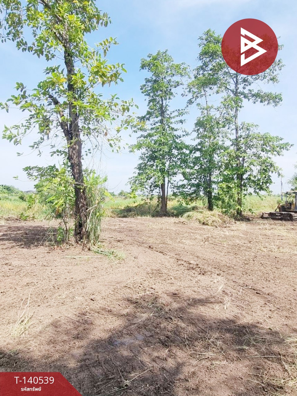 ขายที่ดิน เนื้อที่ 13 ไร่ 3 งาน 5 ตร.วา บางแก้ว ฉะเชิงเทรา – รูปที่ 2