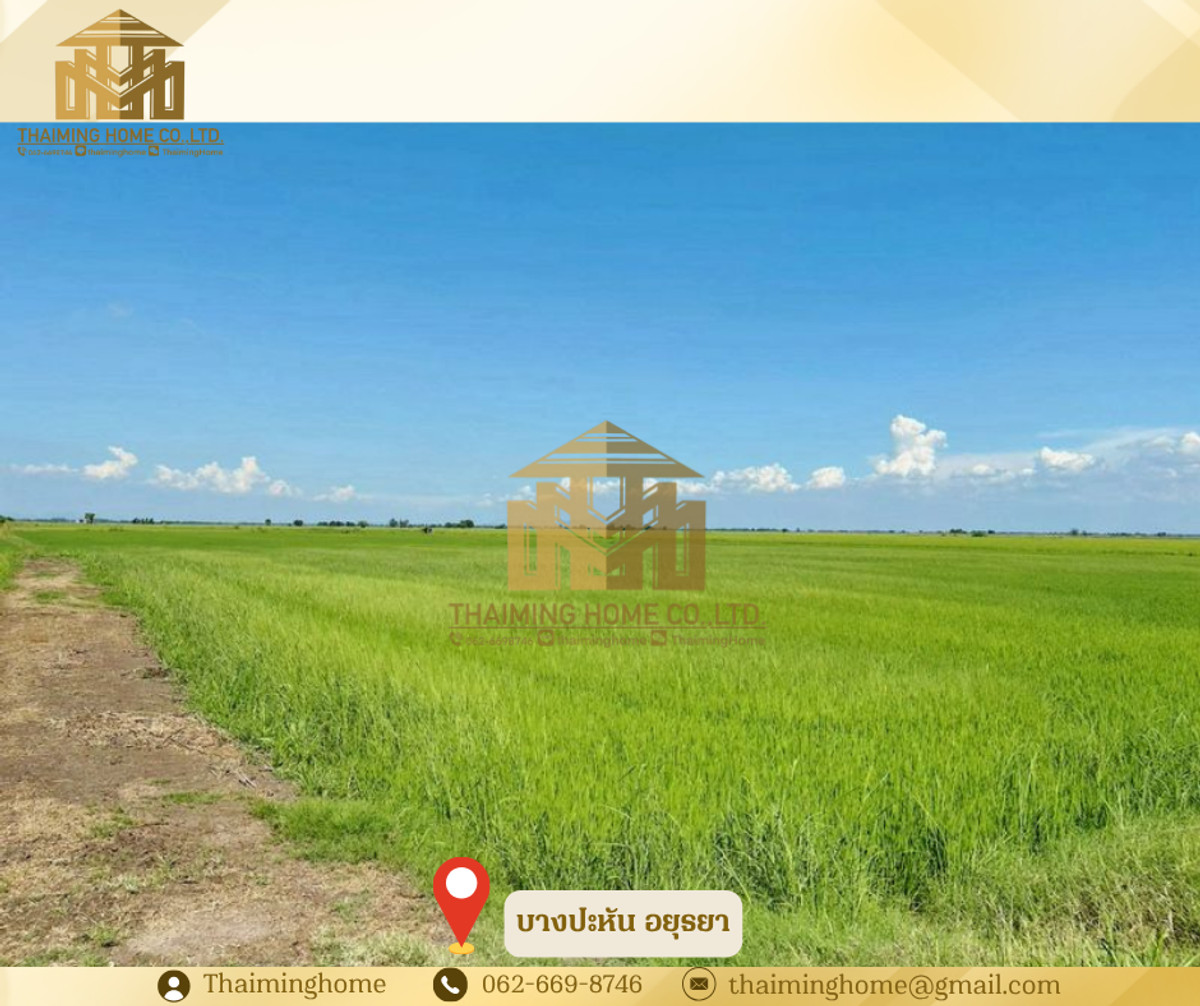ขาย ที่นา 20 ไร่ 22 ตรว.ครุฑแดง  บางปะหัน พระนครอยุธยา   (TL07-0226) – รูปที่ 4