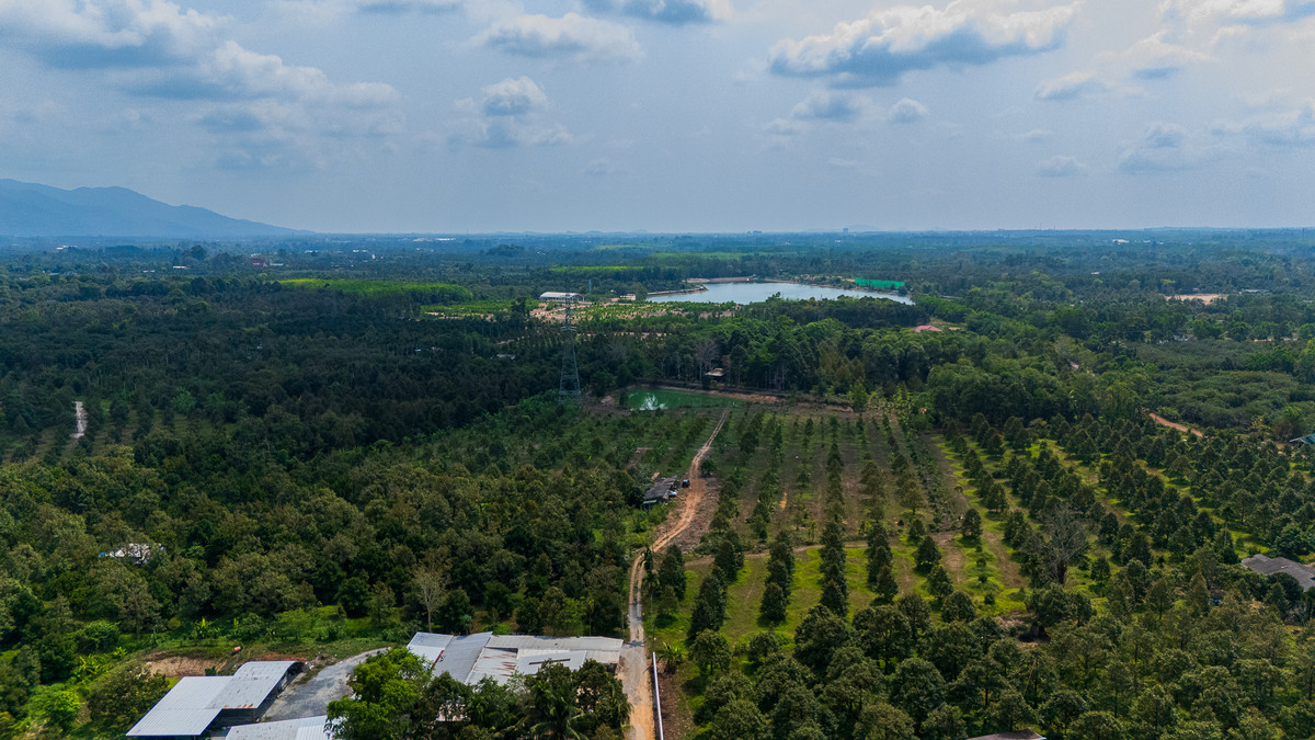 Durian orchard for sale, 17 rai, good location, next to Mueang Chanthaburi District, water and electricity ready. – รูปที่ 2