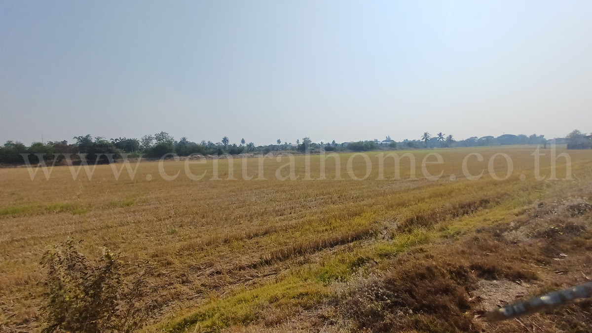 ที่ดิน 34-1-44 ไร่ ไทรน้อย นนทบุรี ทำเลดี ราคาถูกมาก – รูปที่ 3