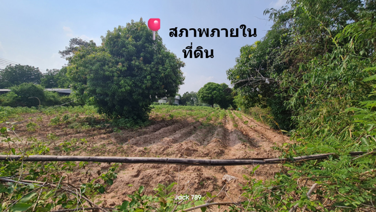 🚨 แปลงนี้…คนมองทำเลเป็น “รีบทักก่อนเสมอ” ที่ดินติดถนนใหญ่ เขตเทศบาลดอนหวาย — ราคายังต่ำกว่าศักยภาพจริง 🔥 – รูปที่ 2