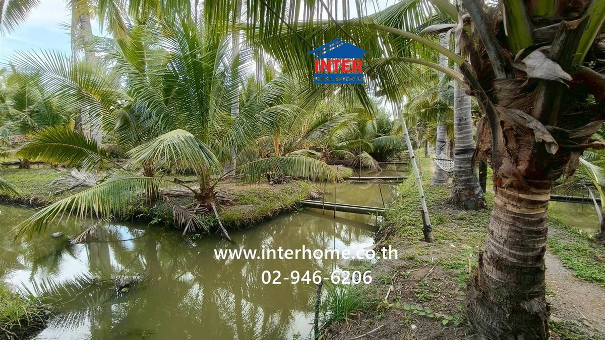 Land + house, 1 floor, 4 rai 268 sq m. Land + house near Khao Takrao Temple. Soi Rong Namtan Jae Joy, Phetkasem Road, Road No. 1004, Khao Yoi, Phetchaburi – รูปที่ 3