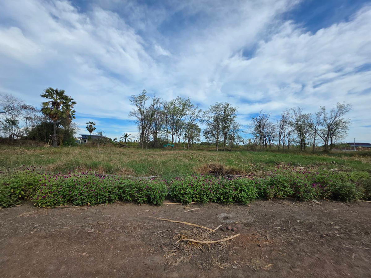 Land for sale, 201 square wah, in Laem Bua Subdistrict, Nakhon Chai Si District, Nakhon Pathom Province, same alley as Lung Nai Fishing Pond. Land for sale, 201 square wah, in Laem Bua Subdistrict, Nakhon Chai Si District, Nakhon Pathom Province, same alley as Lung Nai Fishing Pond.