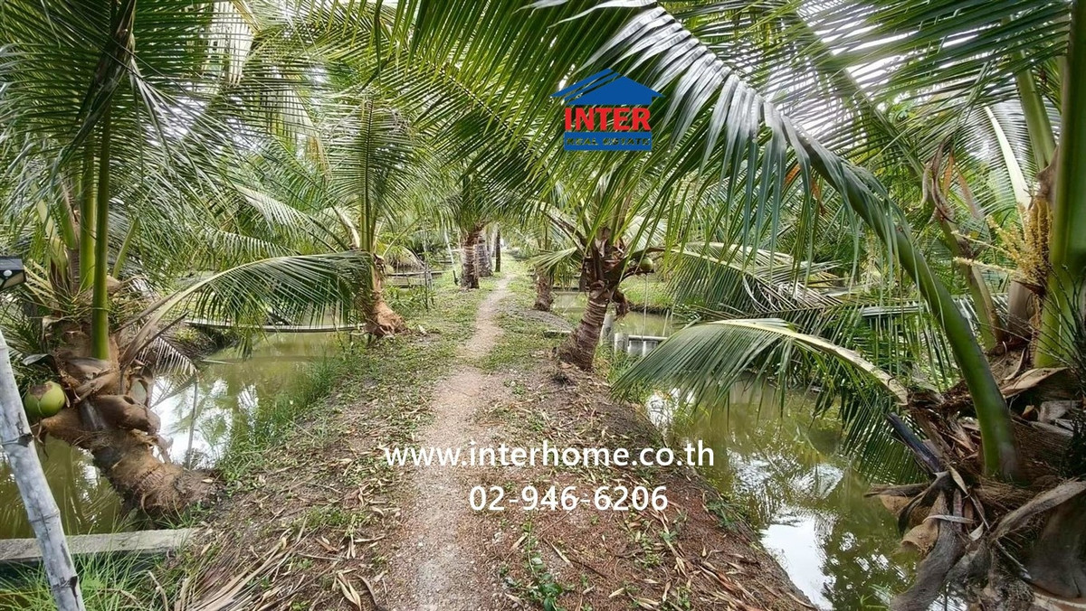 Land + house, 1 floor, 4 rai 268 sq m. Land + house near Khao Takrao Temple. Soi Rong Namtan Jae Joy, Phetkasem Road, Road No. 1004, Khao Yoi, Phetchaburi – รูปที่ 4