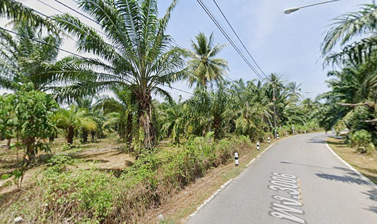 ที่ดินติดหาดบ่อดาน ผืนใหญ่ 603 ไร่ พังงา สำหรับผู้บุกเบิกโครงการใหญ่ – รูปที่ 4