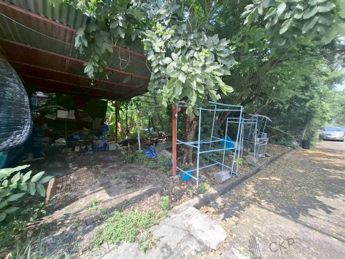 ที่ดินเปล่าทำเลดี รังสิต-นครนายก ใกล้ฟิวเจอร์รังสิตและดรีมเวิลด์ ขนาด 148 ตร.วา เหมาะสร้างบ้านหรือเก็บลงทุนในอนาคต | รหัส 93352 ที่ดินเปล่าทำเลดี รังสิต-นครนายก ใกล้ฟิวเจอร์รังสิตและดรีมเวิลด์ ขนาด 148 ตร.วา เหมาะสร้างบ้านหรือเก็บลงทุนในอนาคต | รหัส 93352