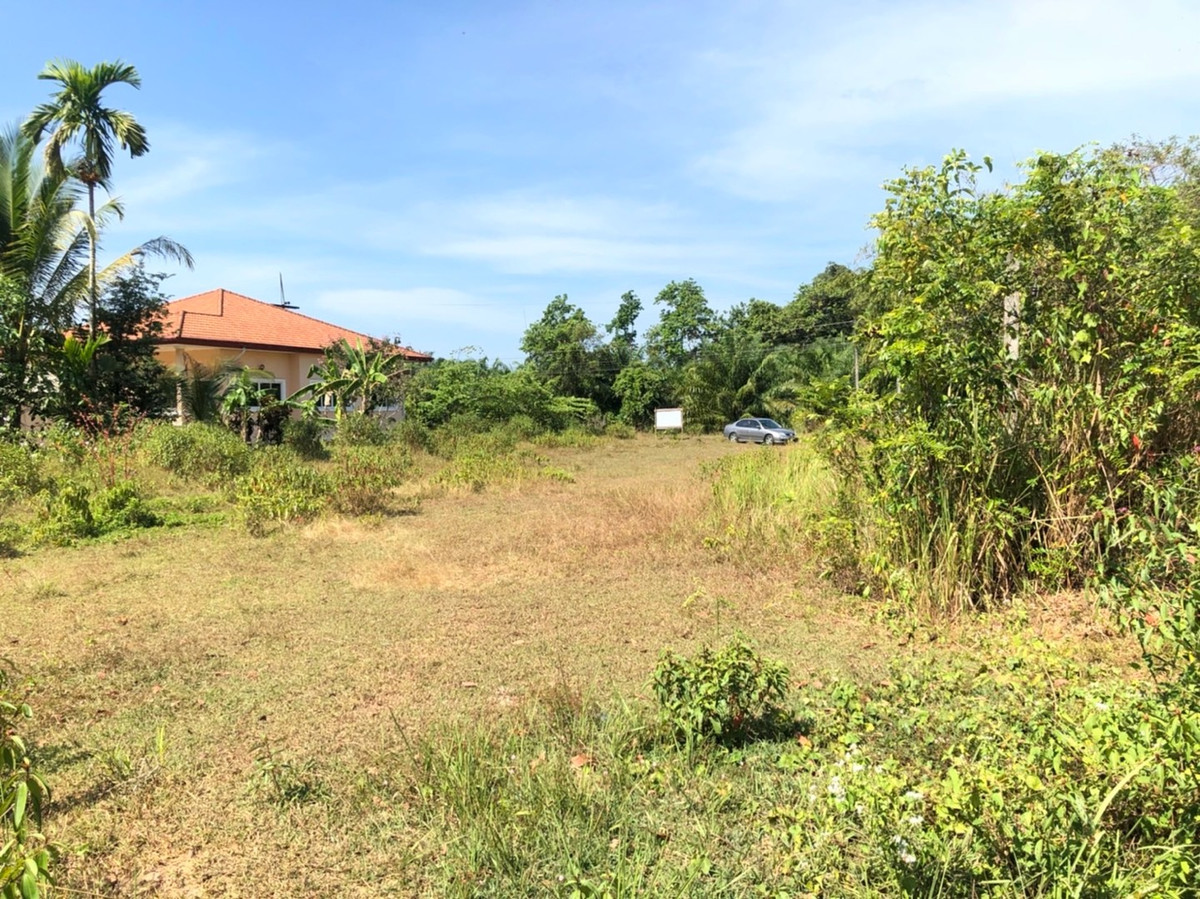 land sale tropical moutain view – รูปที่ 2