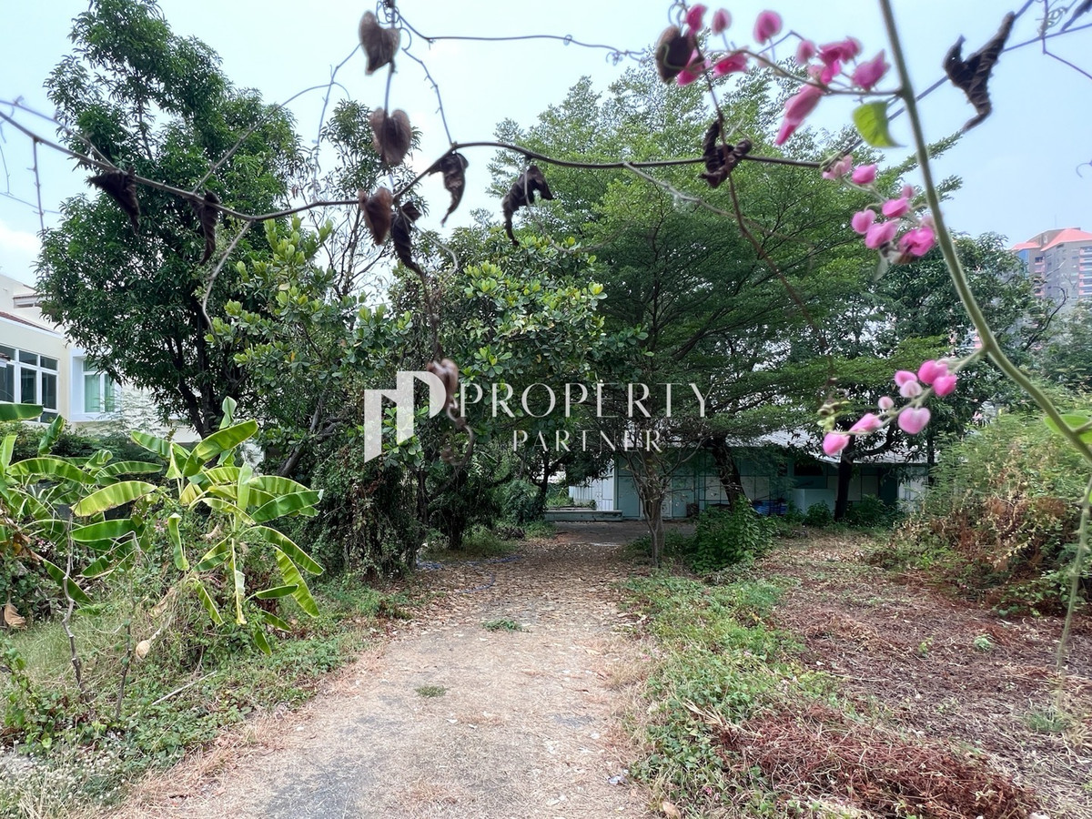ขายที่ดินพร้อมสิ่งปลูกสร้าง 771 ตร.ว ซอยสุขุมวิท 68 ทำเลดีใกล้ทางด่วนบางนา-สุขุมวิท  – รูปที่ 3