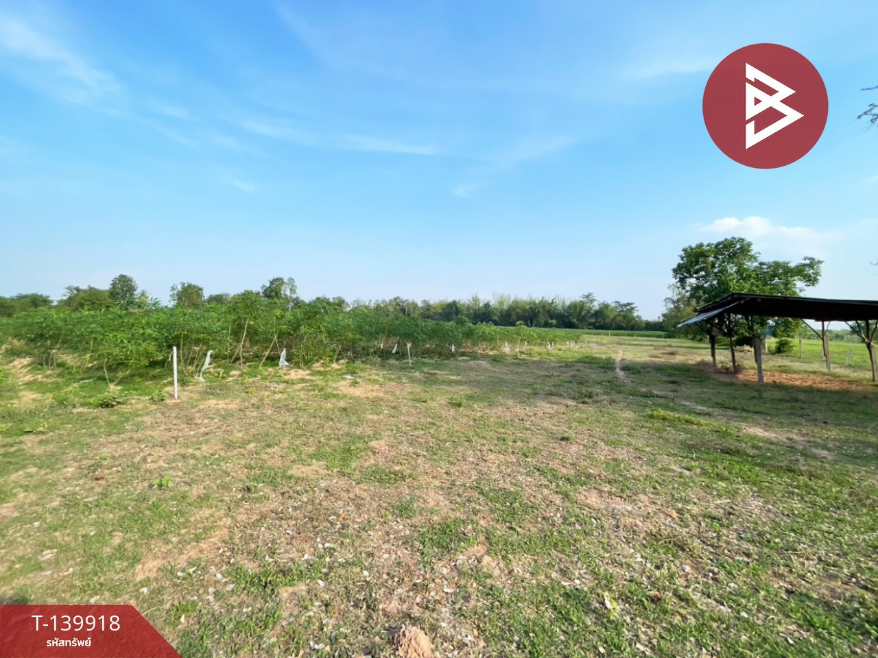 ขายที่ดิน เนื้อที่ 26 ไร่ 1 งาน 18 ตร.วา บ้านไผ่ ขอนแก่น – รูปที่ 2