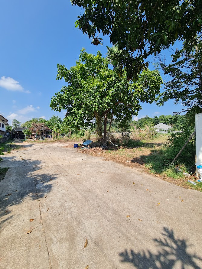 ขายที่ดินระยอง อำเภอเมือง แปลงมุม 498.4 ตร.ว. ใกล้หาดสวนสน – รูปที่ 3