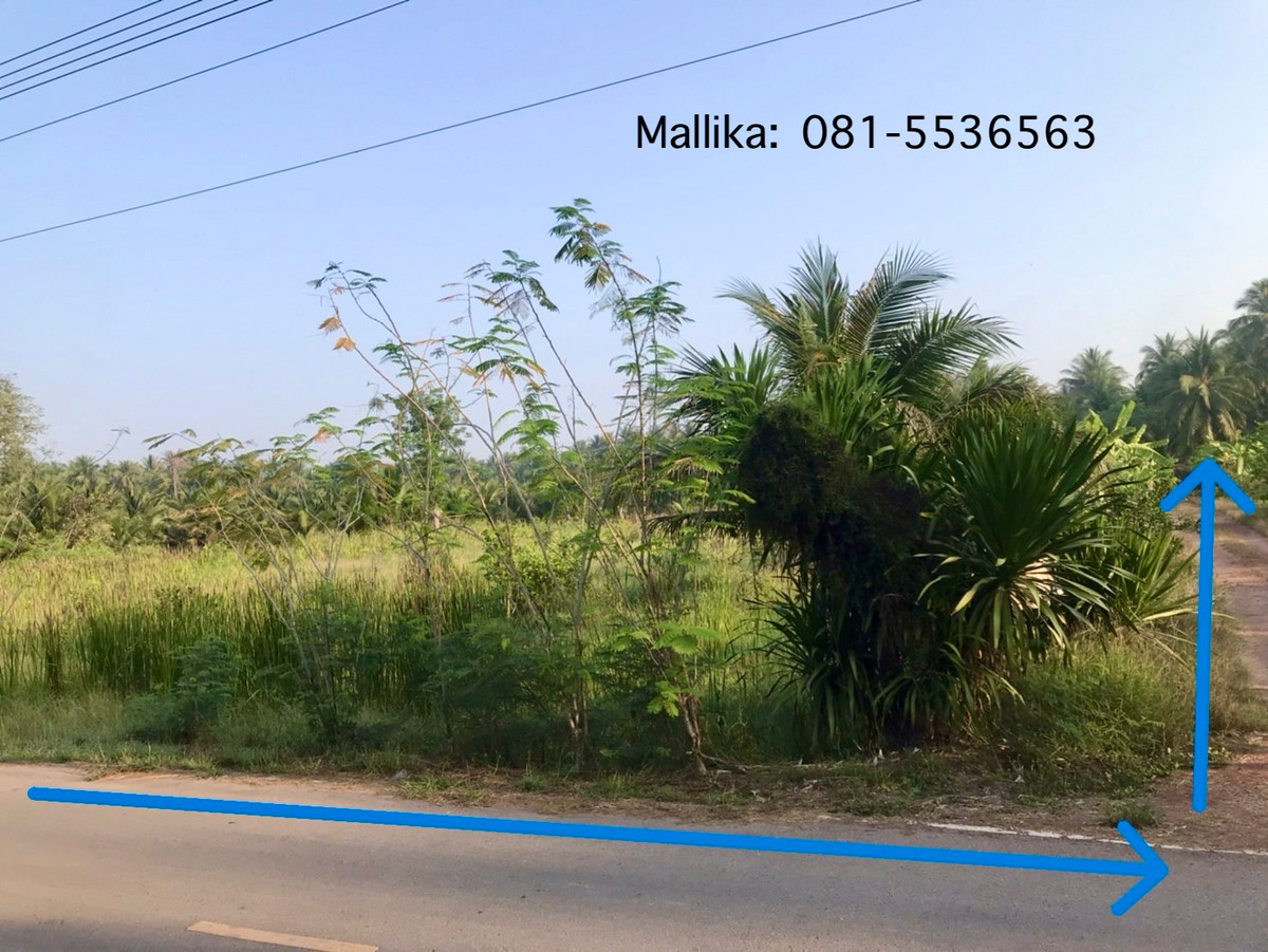 📣 [ขายด่วน] ที่ดินทำเลดี 588.5 ตร.ว. ติดถนนบางแค ซอย 10 อัมพวา – พื้นที่สวย สี่เหลี่ยม ใช้งานง่าย