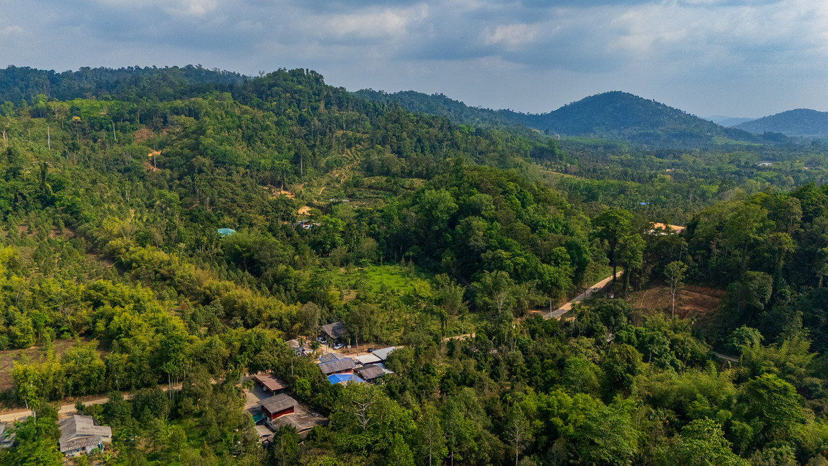 ขายที่ดินบนเขา อำเภอมะขาม จันทบุรี ท่ามกลางสวนทุเรียน บรรยากาศดี – รูปที่ 2