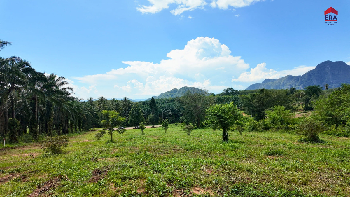 Elevated Sea View Land — Prime Location “Nong Thale” Krabi, กระบี่ – รูปที่ 3