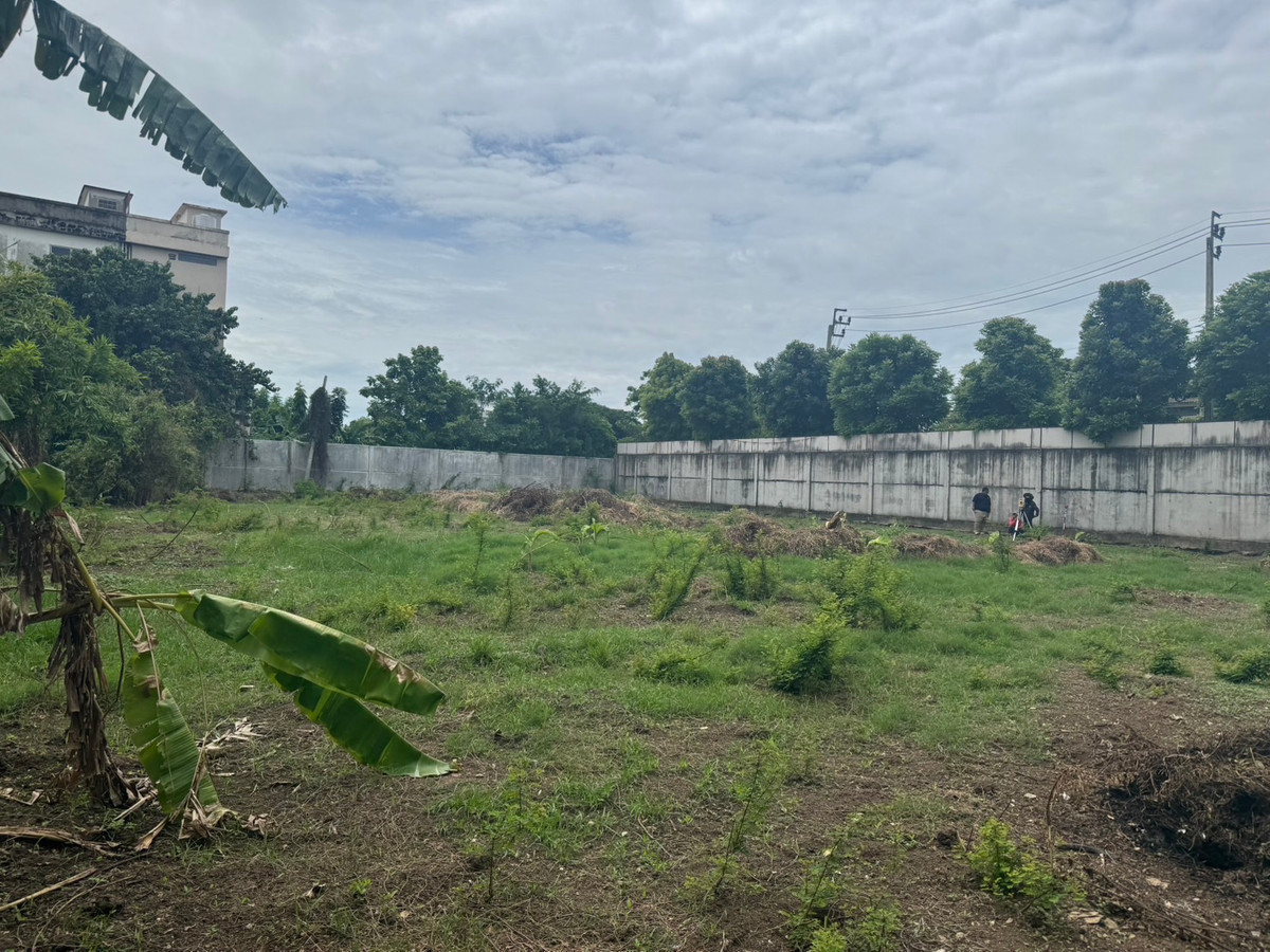 Land for sale, already filled in, Phutthabucha, 1 rai, 81 sq m, just a walk from the main road! Thung Khru, Bangkok