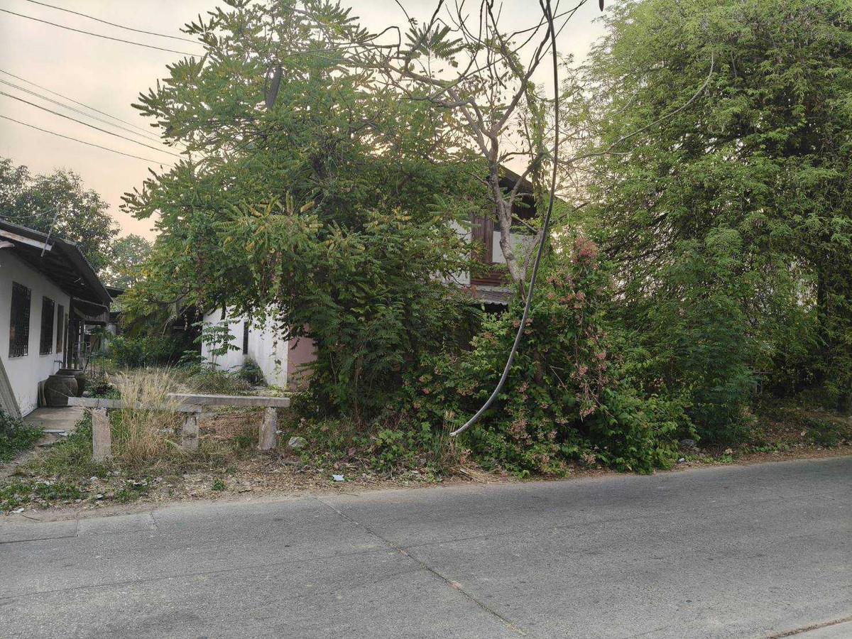 Land in the city Near Aranyik Temple The best price in the area – รูปที่ 2