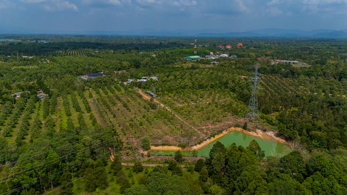 Durian orchard for sale, 17 rai, good location, next to Mueang Chanthaburi District, water and electricity ready. – รูปที่ 4