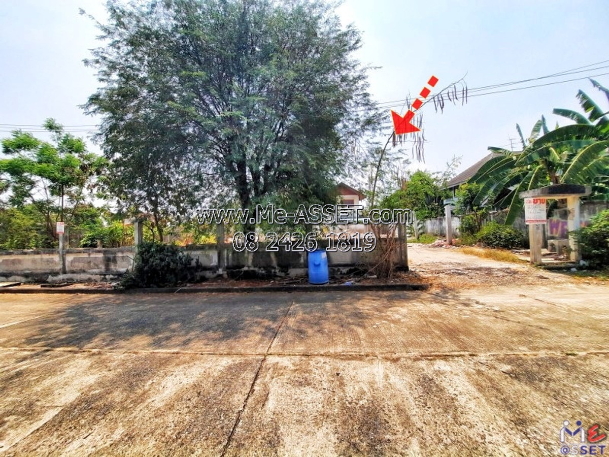 🌳 Below Appraisal! 160 Sq.w Filled Land Phahonyothin 24. Near Bangkok Univ & Markets. Prime Location in Rangsit Area. (NN-91429) – รูปที่ 2