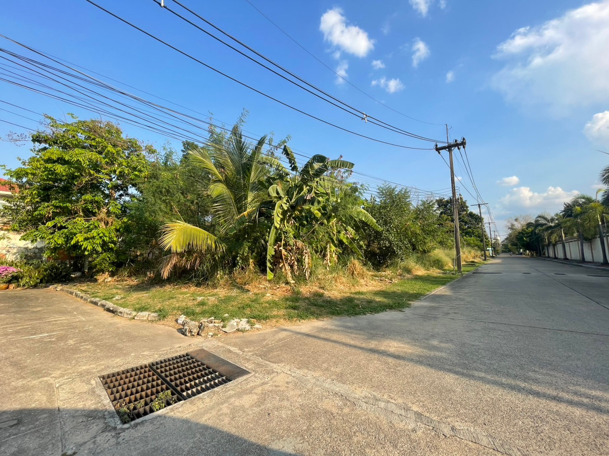 ชายที่ดินหมู่บ้าน เมืองเอก โครงการ 3 จำนวน  484 ตางรางวา แปลงสวย หัวมุม  – รูปที่ 3