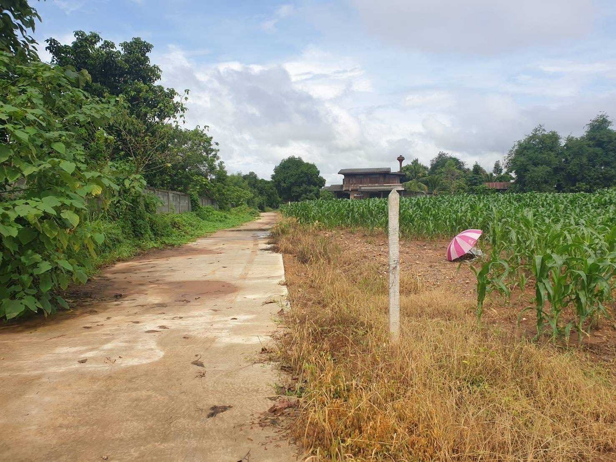 Beautiful piece of land next to the Yom River - mountain view, area 2 rai 2 ngan 17.4 square wah, Thung Laeng Subdistrict, Long District, Phrae Province, price 2,500,000 baht. – รูปที่ 4