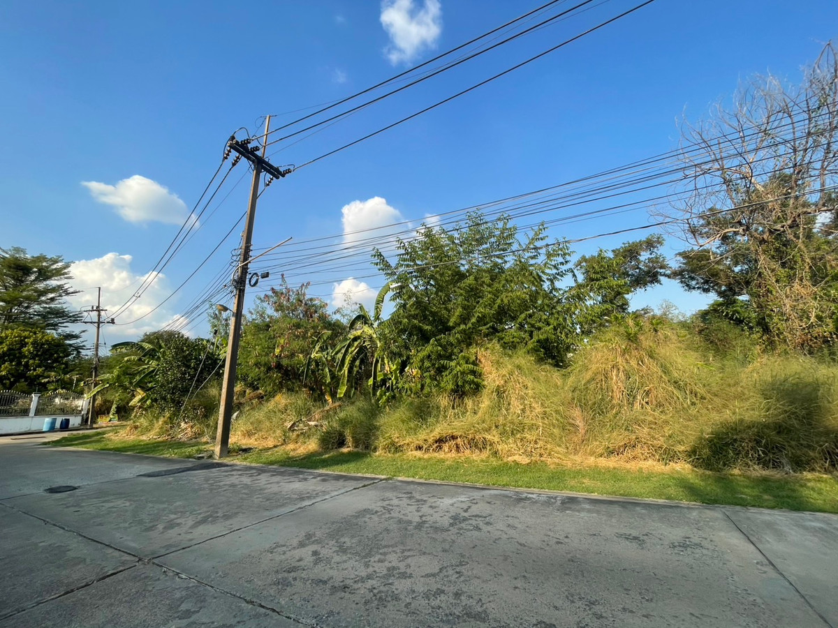 ชายที่ดินหมู่บ้าน เมืองเอก โครงการ 3 จำนวน  484 ตางรางวา แปลงสวย หัวมุม  – รูปที่ 4