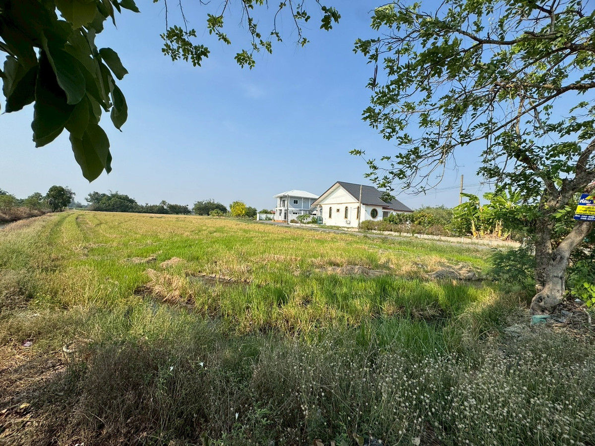 Beautiful land for sale, Soi Yuwittaya, Nong Chok, open view, good price **lower than the market** (N.2073) Beautiful land for sale, Soi Yuwittaya, Nong Chok, open view, good price **lower than the market** (N.2073)