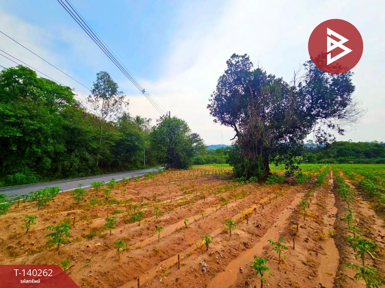 ขายที่ดิน เนื้อที่ 38 ไร่ 1 งาน 36 ตร.วา ศรีราชา ชลบุรี – รูปที่ 4
