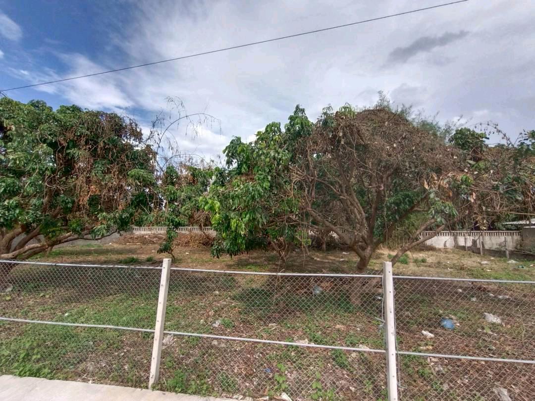 🏡 ที่ดินน้ำแพร่–หางดง
ของดี ราคาต่ำกว่าตลาดชัดเจน
 – รูปที่ 3