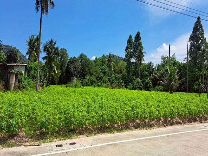 Land for sale, purple zone (industrial zone), 5 rai 2 ngan (approximately 2.4 acres), Hua Bon-Khao Khansong area, with 3-phase electricity. Suitable for factories Land for sale, purple zone (industrial zone), 5 rai 2 ngan (approximately 2.4 acres), Hua Bon-Khao Khansong area, with 3-phase electricity. Suitable for factories