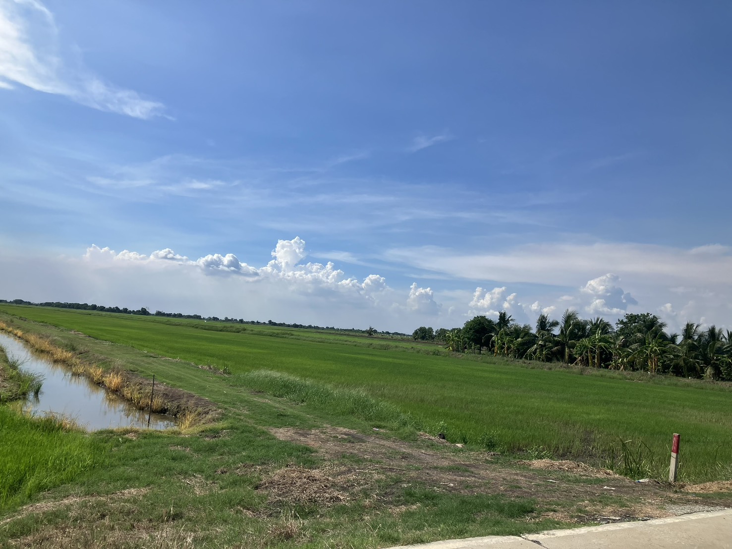 ขายที่ดินผืนใหญ่ 110 ไร่ ใกล้กรุงเทพฯ ทำโกดัง/จัดสรรได้ ขายที่ดินผืนใหญ่ 110 ไร่ ใกล้กรุงเทพฯ ทำโกดัง/จัดสรรได้