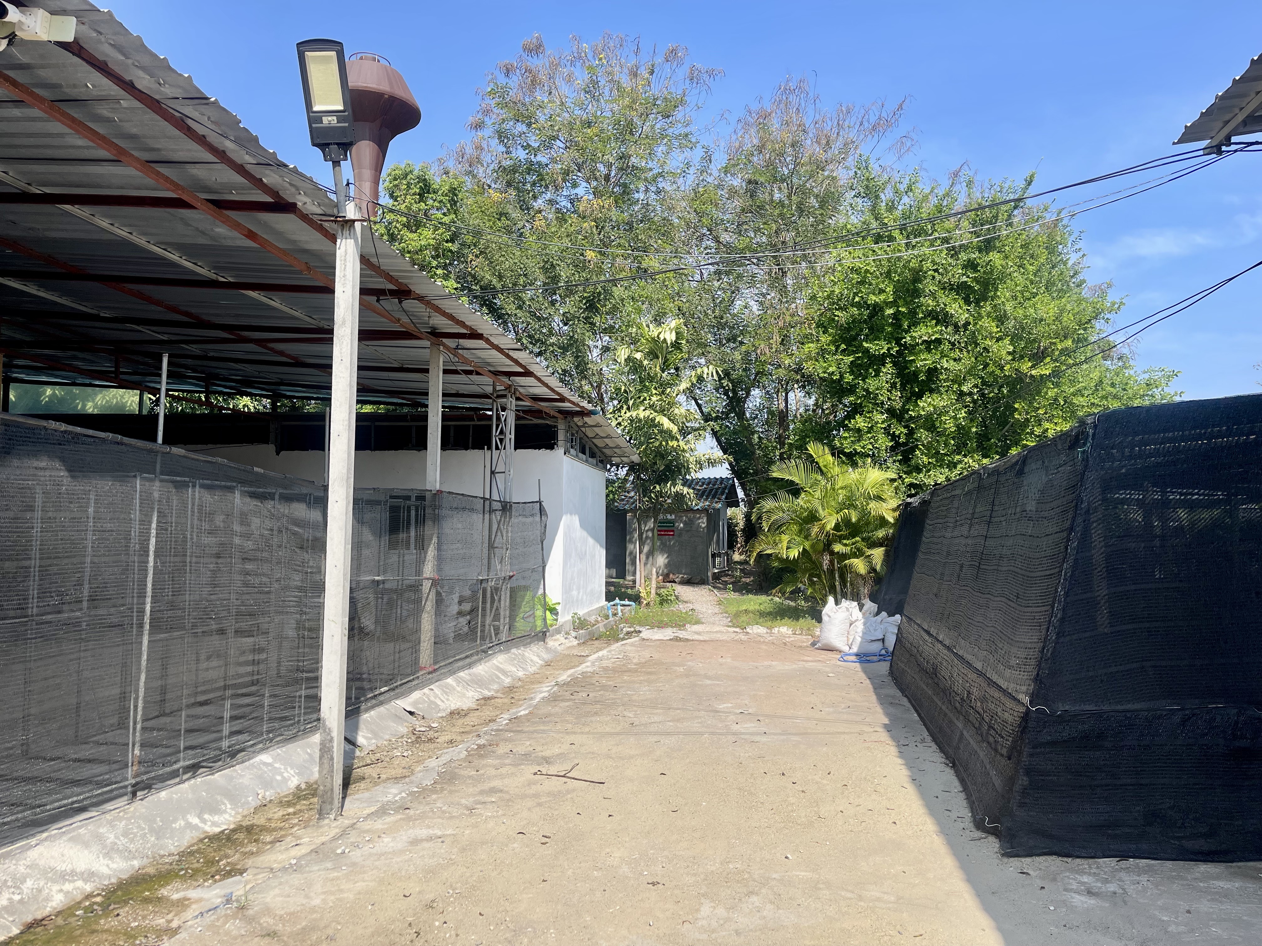 ขายที่ดินสวย ลดราคาพิเศษ พร้อมสิ่งปลูกสร้าง โรงเรือน  9 ไร่ ต.บ้านใหม่ อ.ท่าม่วง จ.กาญจนบุรี – รูปที่ 3