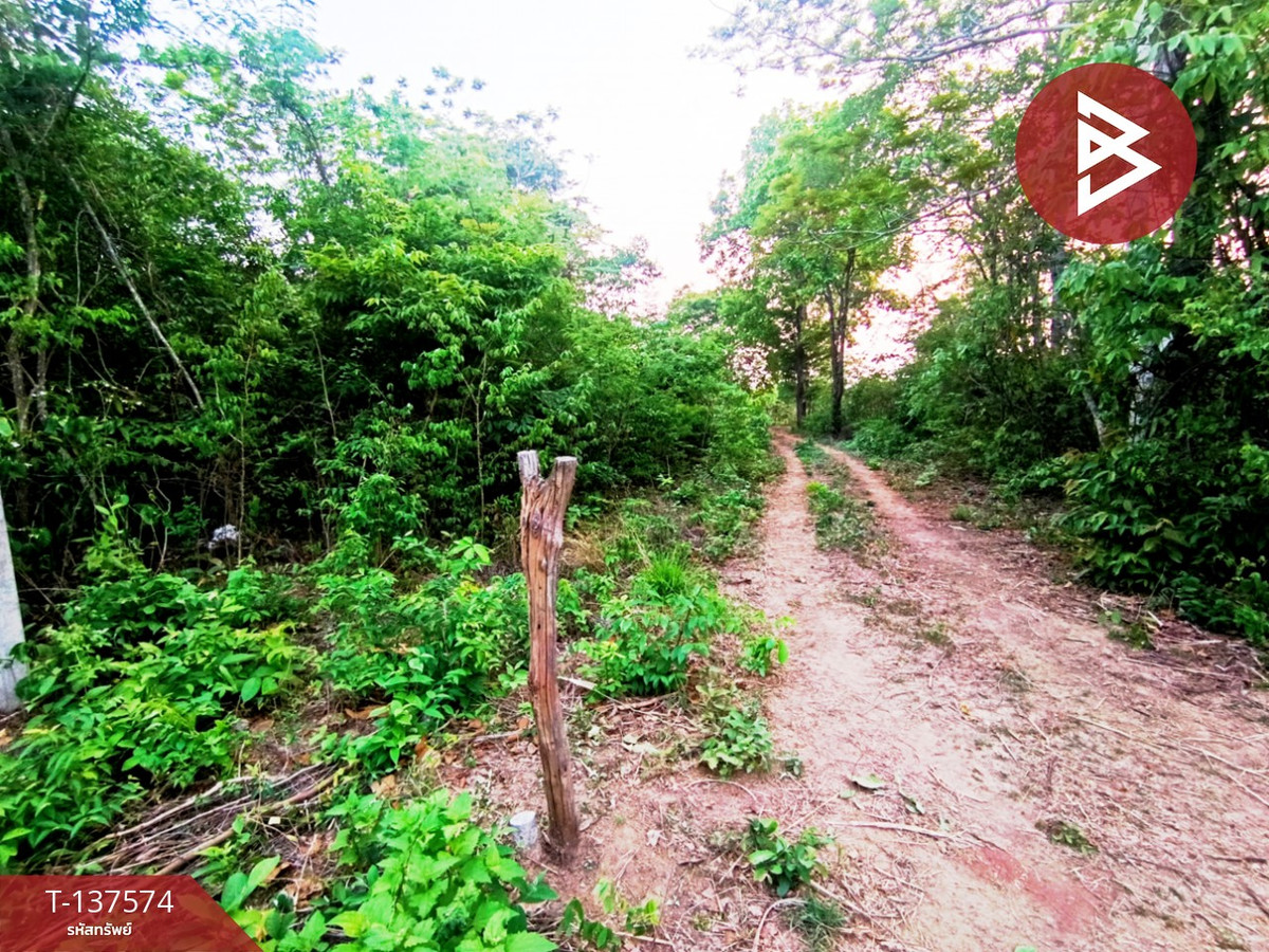 ขายที่ดิน เนื้อที่ 14 ไร่ 2 งาน 14 ตร.วา เชียงเครือ สกลนคร – รูปที่ 3