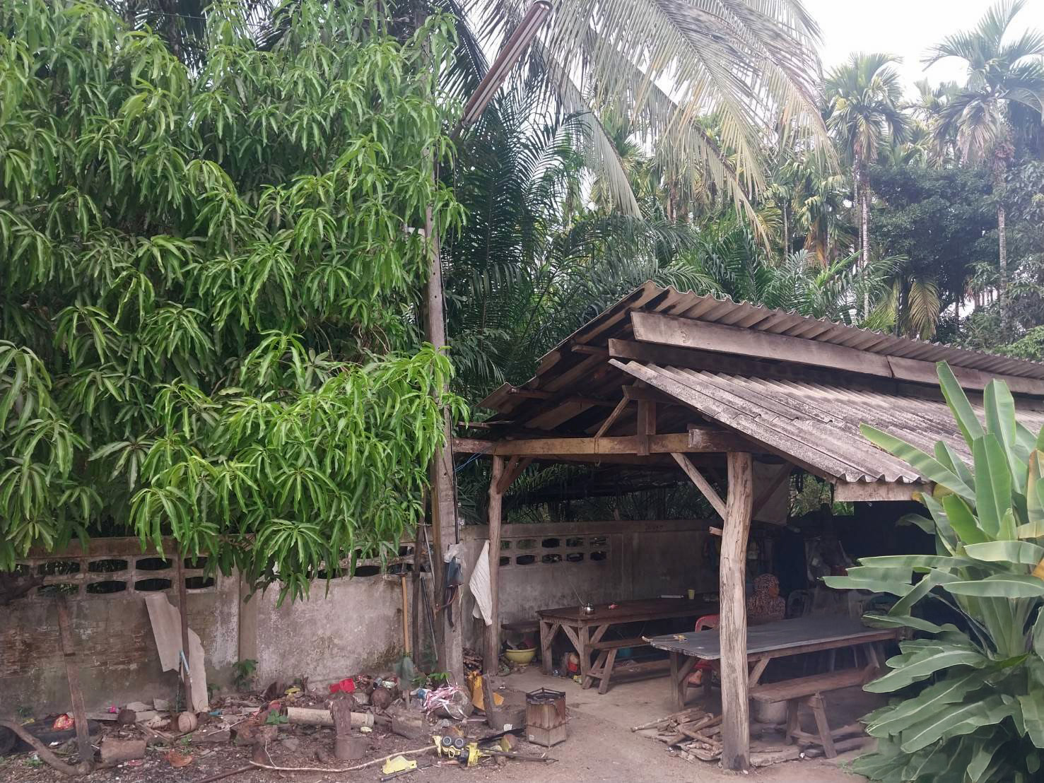 JK 3633607 : นอกโครงการนราธิวาส – รูปที่ 2